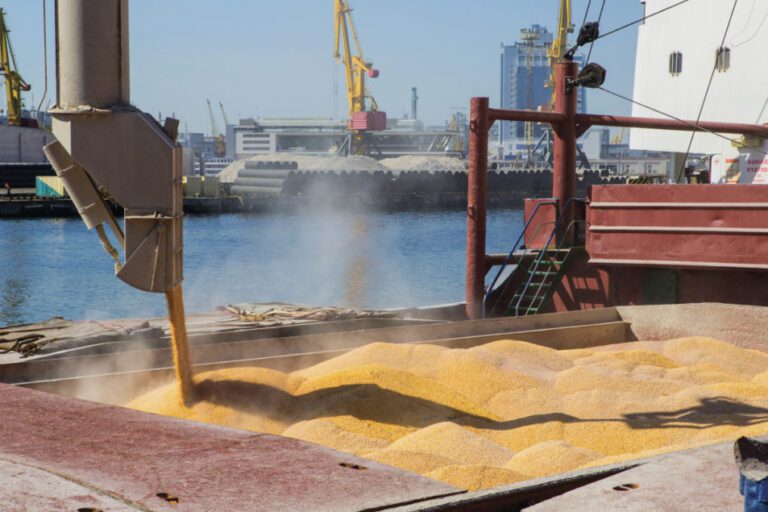 Угорщина заборонила імпорт українських агропродуктів