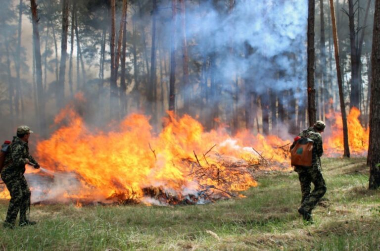 Рятувальники попереджають про надзвичайну пожежну небезпеку в Запоріжжі та області