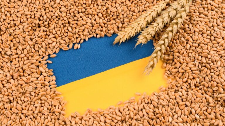 Україна відправила до Сирії 500 тонн борошна