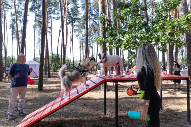 Запоріжці пропонують створити майданчики для вигулу та дресування собак